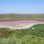 Danau di India Berubah Jadi Pink dalam Semalam, Kok Bisa?