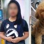 Lempar Anjing Majikan Hingga Mati, TKI di Singapura Terancam Bui