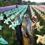 Wisata Kebun Kincir Angin
