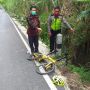 Diduga Kelelahan, Pesepeda Asal Bantul Ditemukan Tewas di Kulon Progo