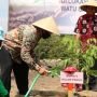 Kelompok Tani Kulon Progo Sulap Lahan Berbatu Jadi Produktif Kelengkeng
