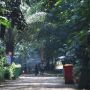 Sudah Buka Kembali, Intip Serunya Suasana di Kebun Binatang Ragunan