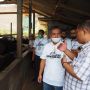 Perkuat Ketahanan Pangan di Kediri, BRI Kunjungi Peternak Sapi Perah
