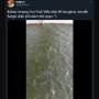 Bangkrut Gara-gara Corona, Kolam Renang Disulap Jadi Kolam Lele