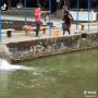 Kelakuan Kucing Oren, Sigap Culik Ikan Hasil Mancing Orang
