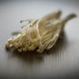 Terlepas dari Wabah Listeria, Jamur Enoki Penuh Gizi dan Sangat Bernutrisi!