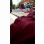 Video Kuda Delman Lepas Kendali, Bawa Penumpang Melawan Arus di Jalan Raya