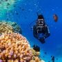 Intip Pulau Bunaken di Manado, Jadi Buah Bibir Karena Bebas Covid-19