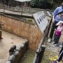 Kebun Binatang Bandung Kembali Dibuka