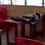 Lama Tak Dipakai Selama Corona, Laci Meja Sekolah Ini Jadi Sarang Ular