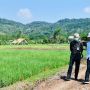 Didampingi Ganjar, Jokowi Tinjau Proyek Padat Karya Irigasi di Batang