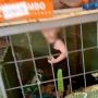 Dikelilingi Ular hingga Tikus, Balita Dikurung di Kandang Anjing