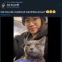 Gemes Nggak Ada Lawan, Kucing Ini Anteng Diajak Traveling Naik Pesawat