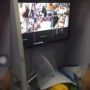 Dalih Suka, Eks Barista Starbuck Pelototi Payudara Pelanggannya dari CCTV