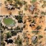Makin Bertambah, Botswana Terus Selidiki Kematian Misterius 275 Gajah