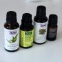 Tanin dan Flavonoid, 2 Kandungan Eucalyptus yang Kaya Manfaat
