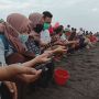Sudah Hampir Punah, 120 Bayi Penyu Dilepas di Pantai Goa Cemara