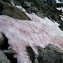 Ada Es Pink Misterius Muncul di Pegunungan Alpen