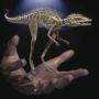 Ilmuwan Temukan Leluhur Dinosaurus Kecil, Tingginya Hanya 10 Cm