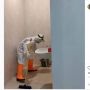 Salut! Petugas Kebersihan Kerja Sendiri Urus Ruang Isolasi Covid-19