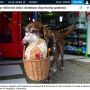 Seekor Anjing Bantu Warga Kolombia Berbelanja Selama Pandemi Corona