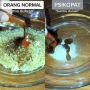 Viral Warganet Cekcok Soal Masak Mi Instan, Mi Dulu Atau Bumbu Dulu Nih?