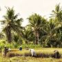 5 Arti Mimpi Desa: Dari Tidak Puas Sampai Momen Bersama Di Kampung Halaman
