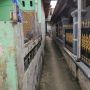 Gang Sempit di Menteng, Lokasi Pemuda Cabul Masturbasi Depan Anak-anak