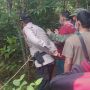 Ngeri! Warga Suku Anak Dalam Jambi Tewas Dililit Ular Saat Berburu
