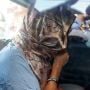 Sara Connor Pembunuh Polisi di Bali Bebas