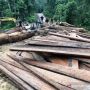 KLHK Buru Pemodal Pembalak Liar Kawasan Suaka Margasatwa Bukit Rimbang
