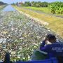 Saluran Irigasi di Demak Dipenuhi Sampah, Begini Penampakannya