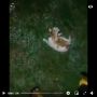 Viral Video Anak Kucing dibakar Hidup-hidup, Netizen: Cari Pelakunya!