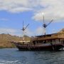 Mulai 1 Agustus  ke Pulau Komodo Harus Beli Tiket Online, Berapa Harganya?
