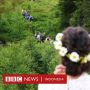Menikah Saat Pandemi Covid-19: Lokasi di Hutan Perbatasan Swedia - Norwegia