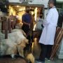 Permintaan Melonjak, Harga Kambing Kurban di Kota Kediri Tembus Rp 5,5 Juta