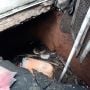 Motor Masuk Septic Tank di Jaktim Ternyata Milik Juru Pengobatan Spritual