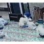 Imam Masjid Diserang saat Pimpin Doa, Pelaku Pernah Jalani Ruqyah