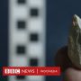 Bukti Paling Awal Kehadiran Manusia di Amerika 30.000 Tahun Lalu
