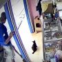 Gempar! Pria Sampit Bunuh Kucing Secara Sadis, BKSDA akan Lapor Polisi