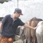 Besok Idul Adha, Penjualan Hewan Kurban Sepi