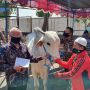 Sehari Sebelum Iduladha, Pemkab Bantul Bagikan 33 Kambing ke Warga Miskin