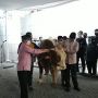 Serahkan 2 Hewan Kurban, Ini Beda Sapi dari Anies dengan Riza Patria