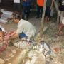 Buaya Kali Pesanggrahan Diamankan di Rutan Kelas 1A Depok