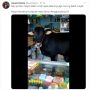 Kabur Saat Disembelih, Sapi Ini Malah Jadi Penjaga Warung Kelontong