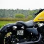 Kenalan dengan 'Hampir-Davidson', Tiruan Harley-Davidson Dengan Mesin Kecil