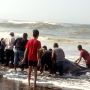 Bangkai Hiu Tutul Terdampar di Tasikmalaya, Dagingnya Mau Dikonsumsi Warga