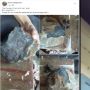 Viral Batu Hitam Jatuh dari Langit Ditawar Rp 200 Juta, Pemilik Tak Tergoda