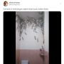 Viral Kamar Mandi Dipenuhi Puluhan Tokek Berukuran Besar, Bikin Merinding!