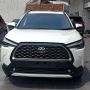 Ini Jajaran Mobil Listrik yang Masuk Indonesia di 2020